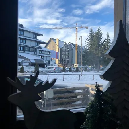 Mecava Kopaonik